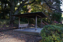 tokyo clubhouse