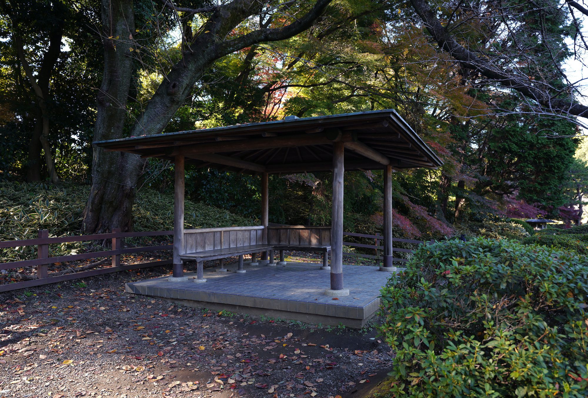 tokyo clubhouse