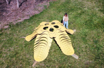 FLIM-FLAMS