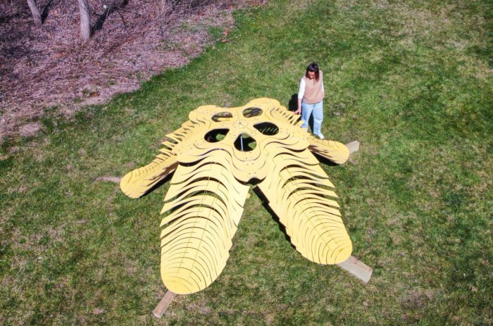 FLIM-FLAMS | Neal Lucas Hitch