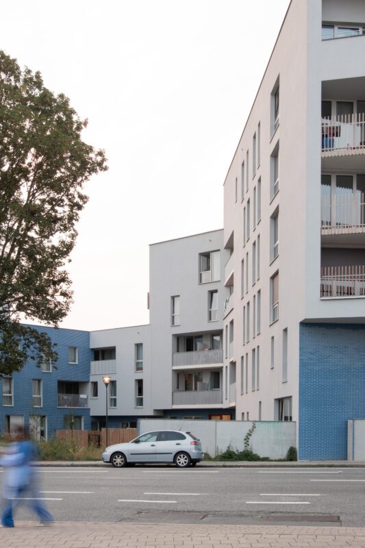 © Tomás Barberá Ramallo5