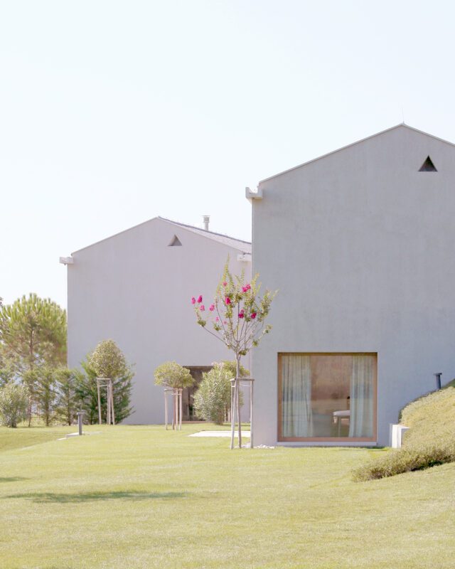 © Urban Petranovič1