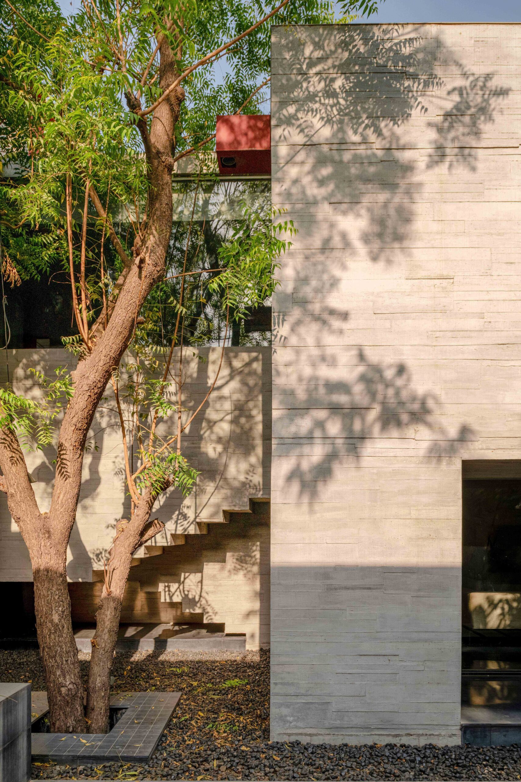 Trees Sliced Through Residence