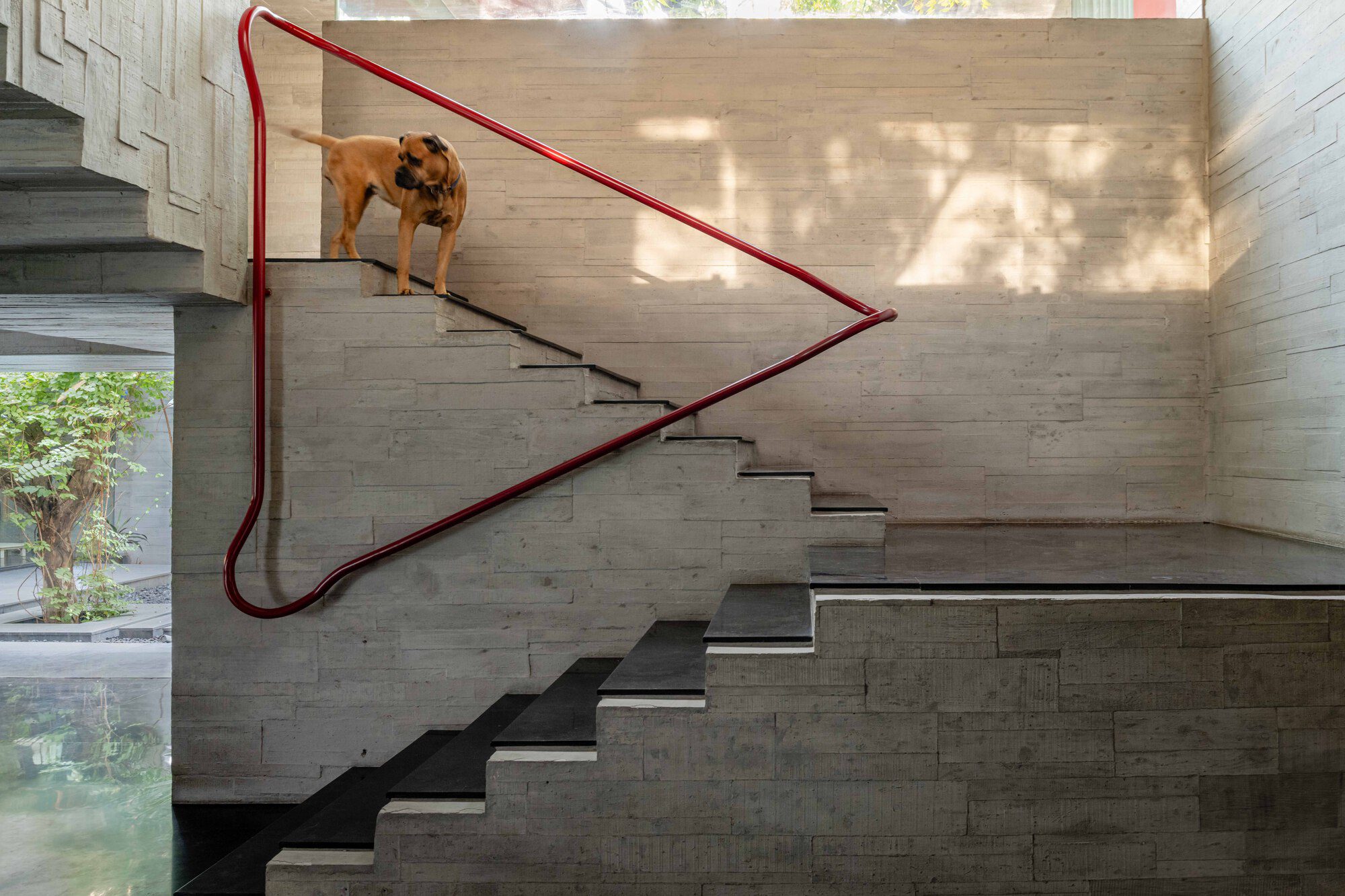Trees Sliced Through Residence