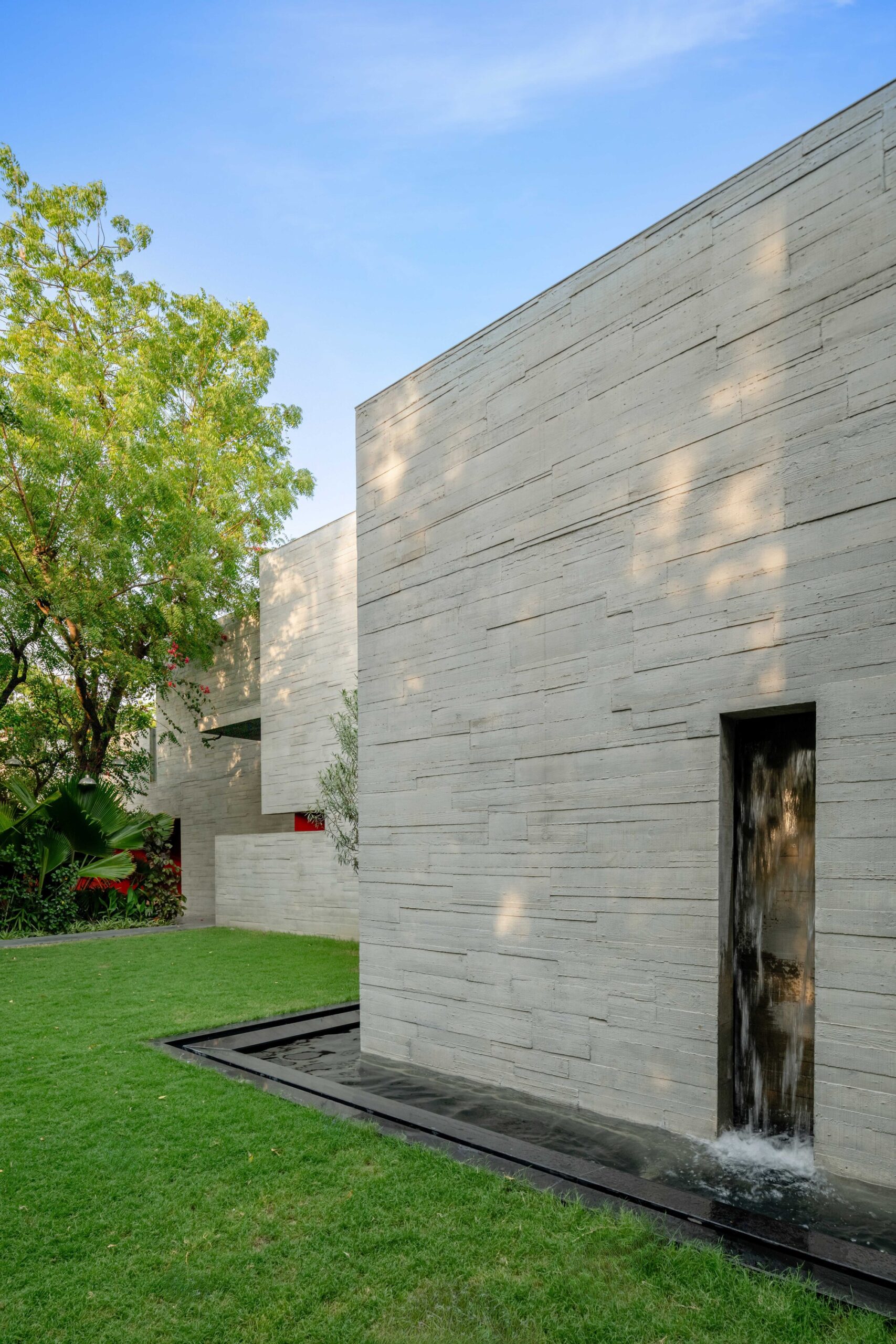Trees Sliced Through Residence
