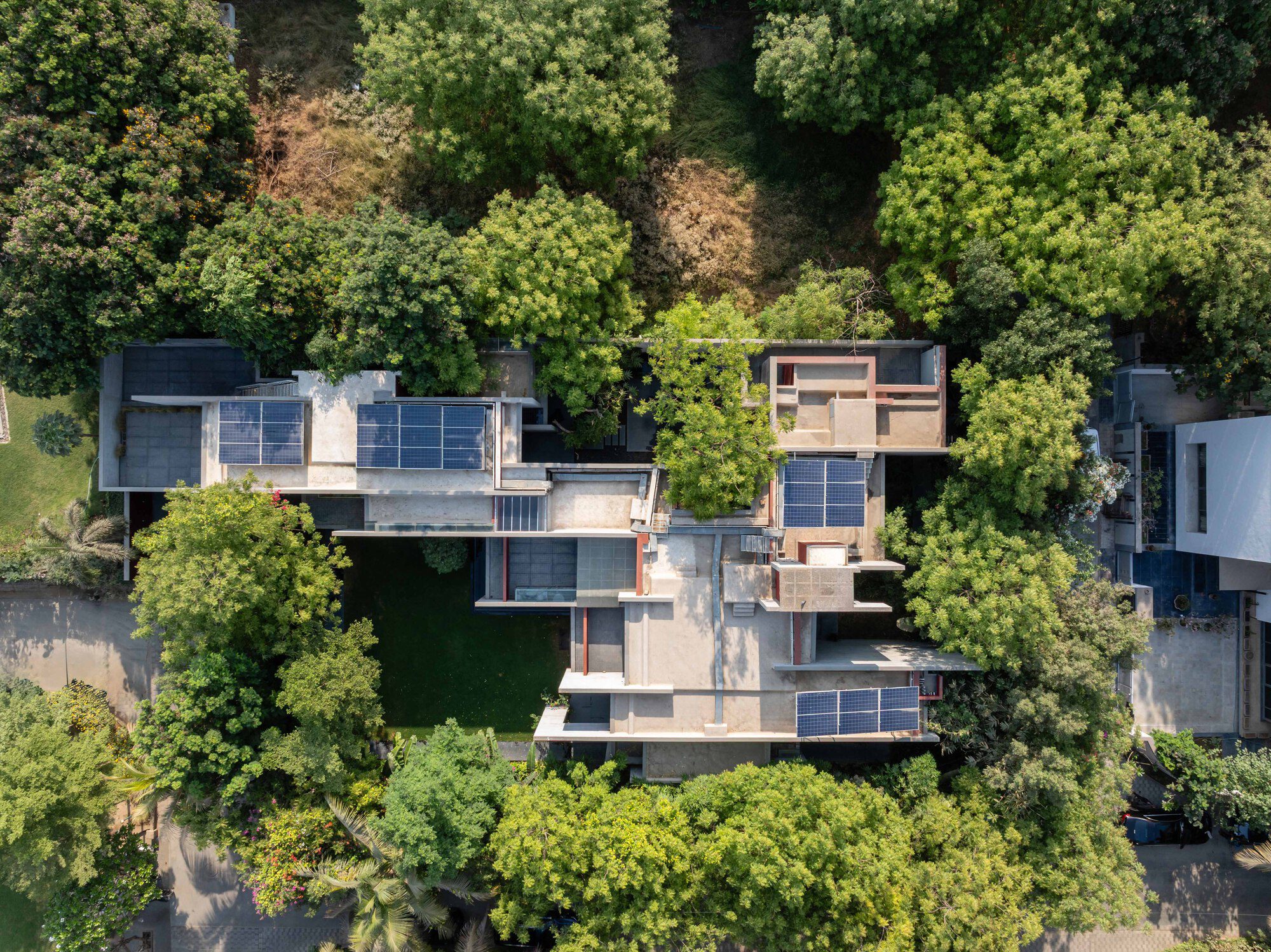 Trees Sliced Through Residence