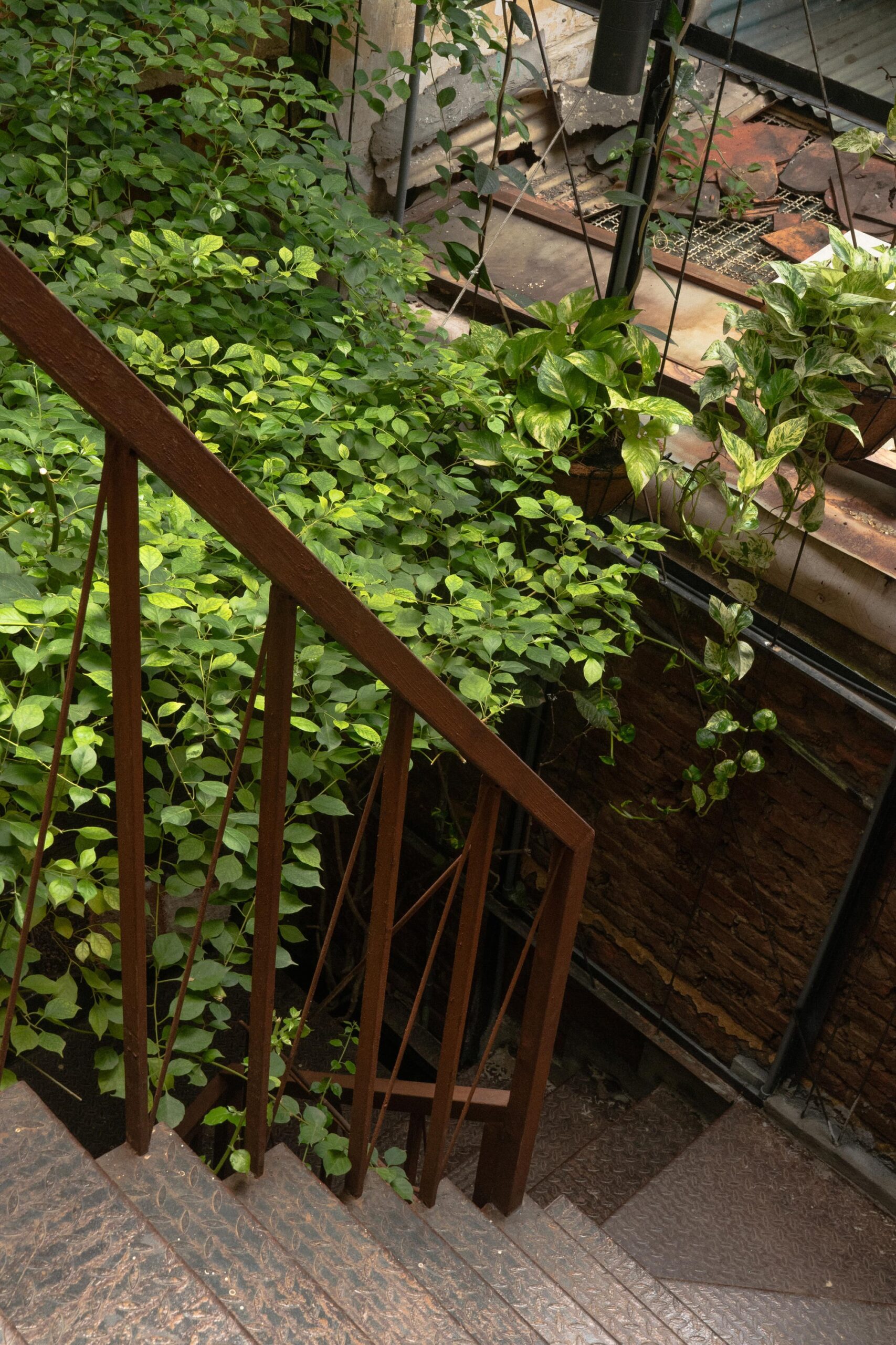 O Plant-based Ton That Dam Cafe Restaurant