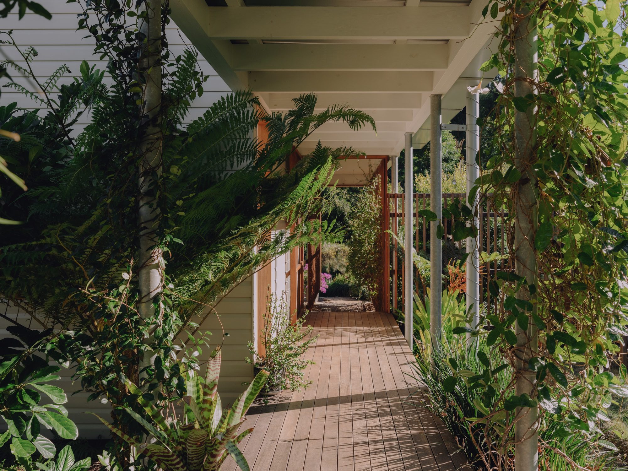 Cooroy House