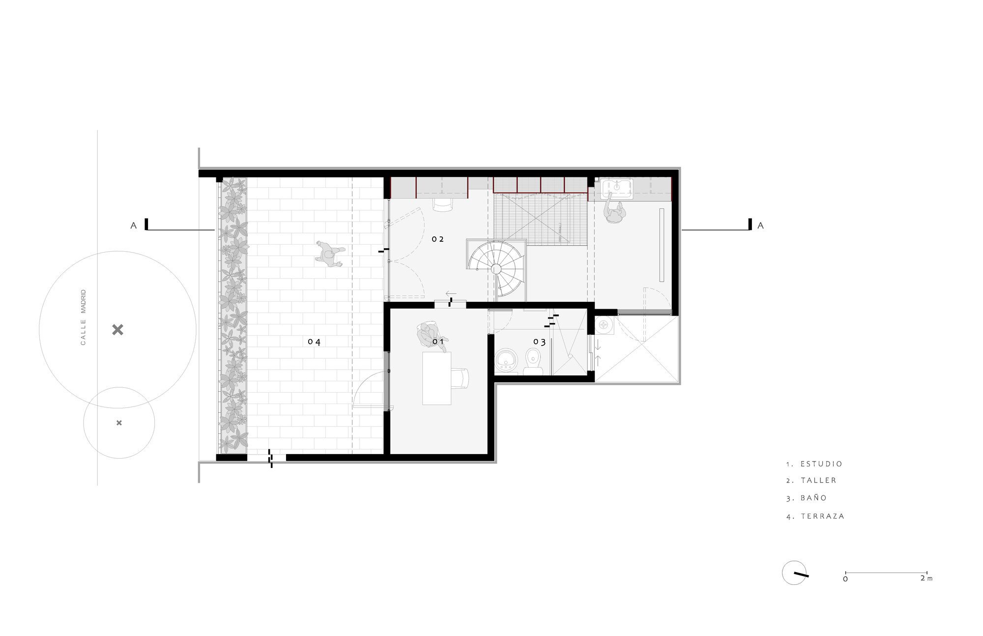 Daniela Riquelme Studio Workshop