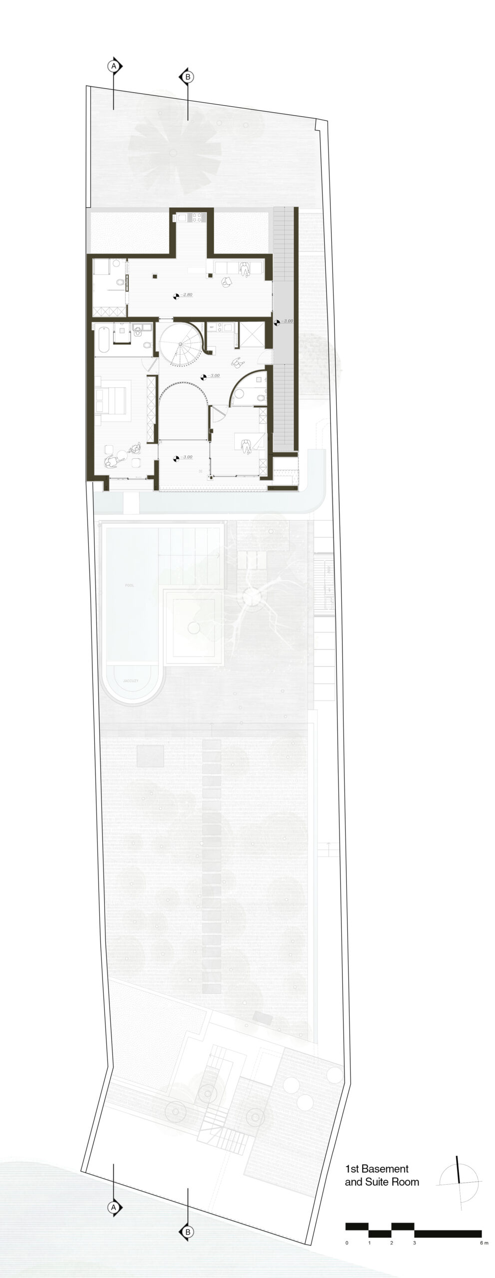 A House Looking to A Cedrus Tree