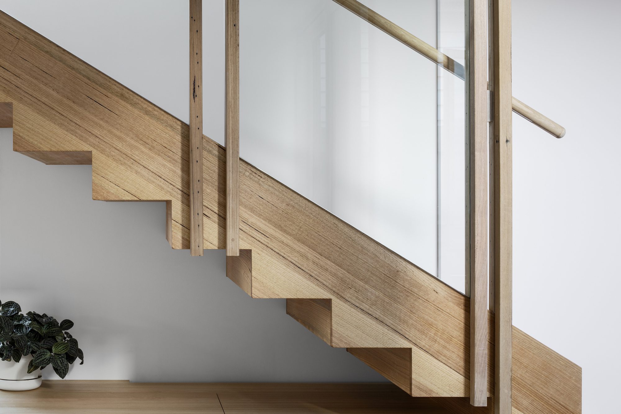 Life Cycle House
