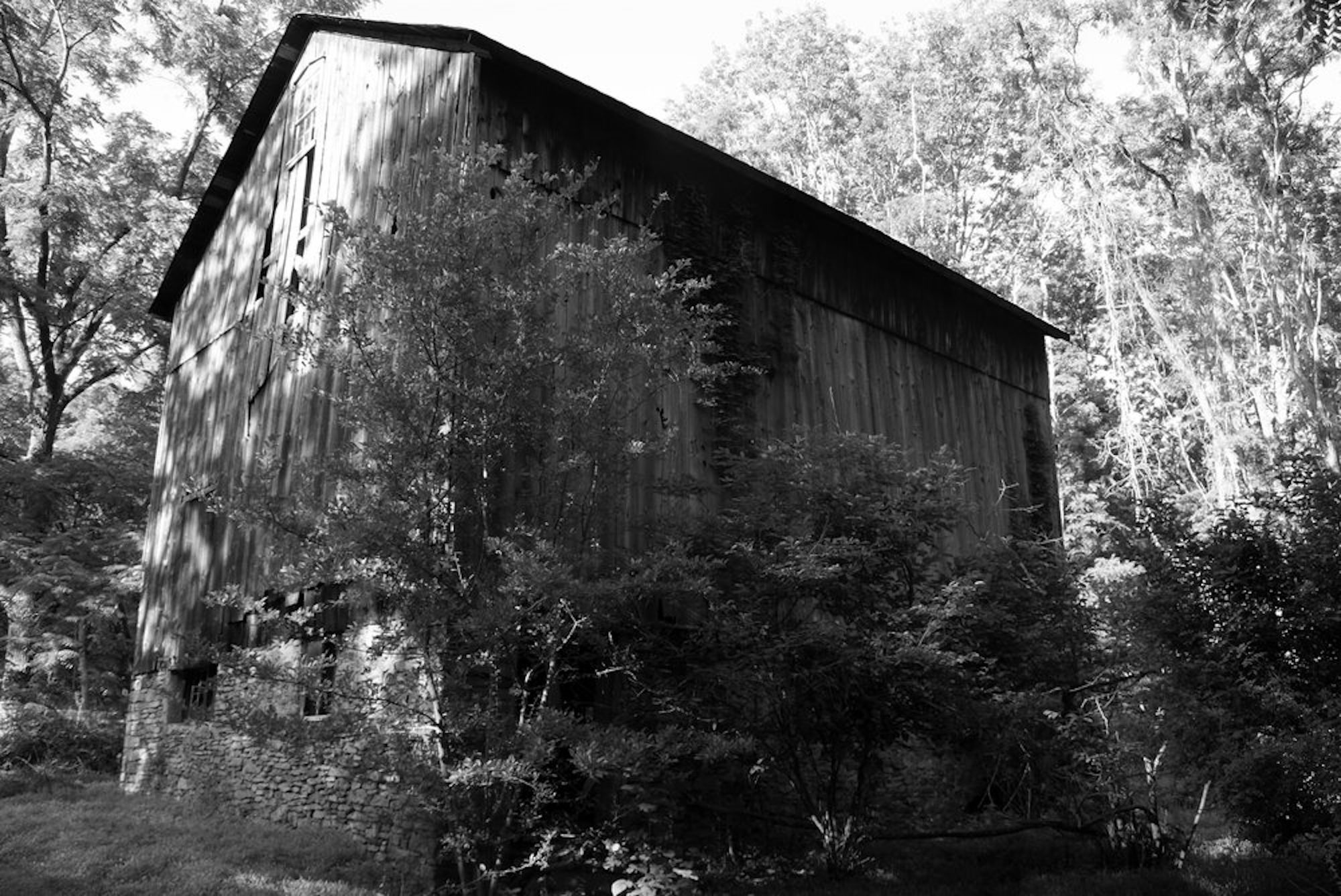 Barn at Windover