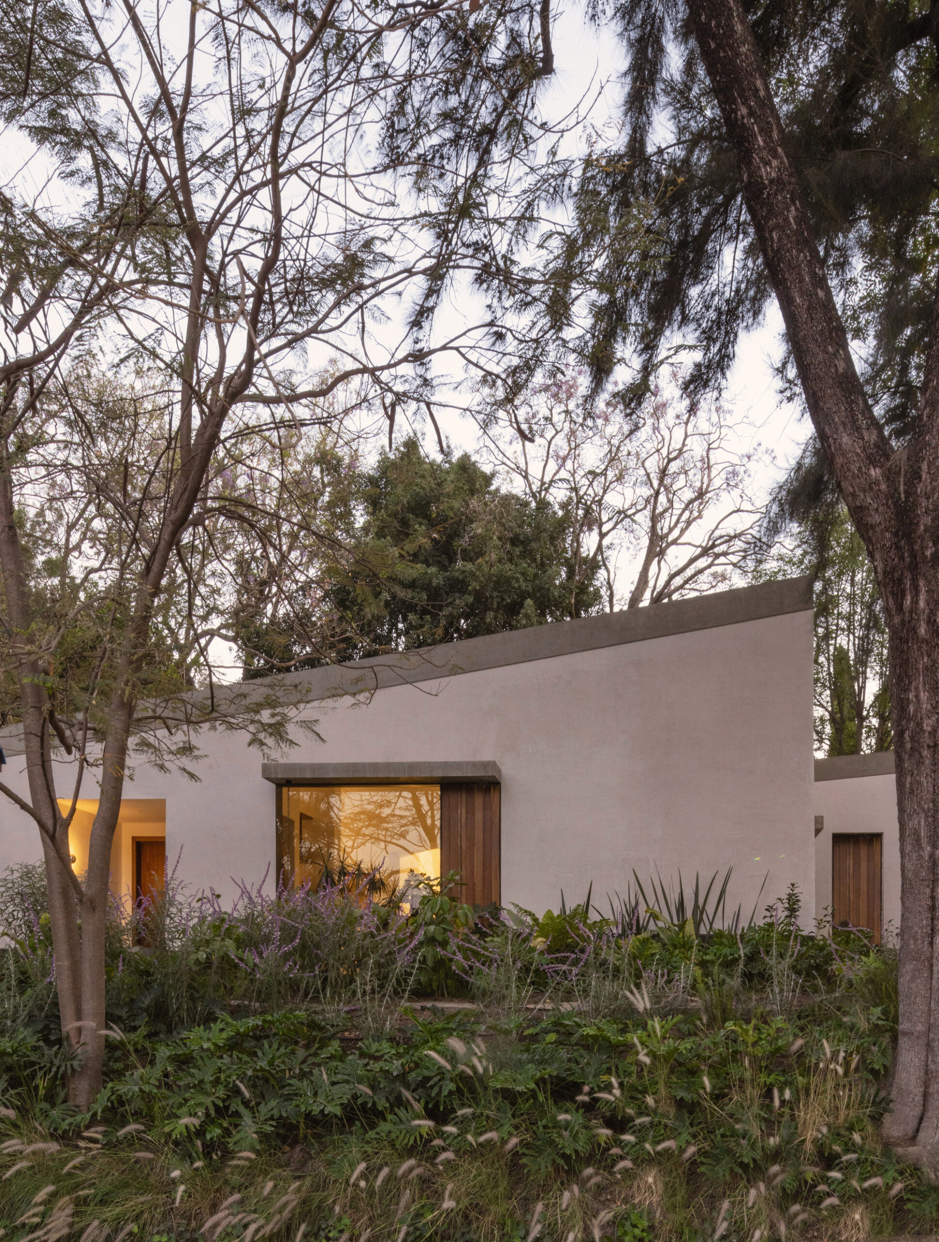 Malvas 59 Residence