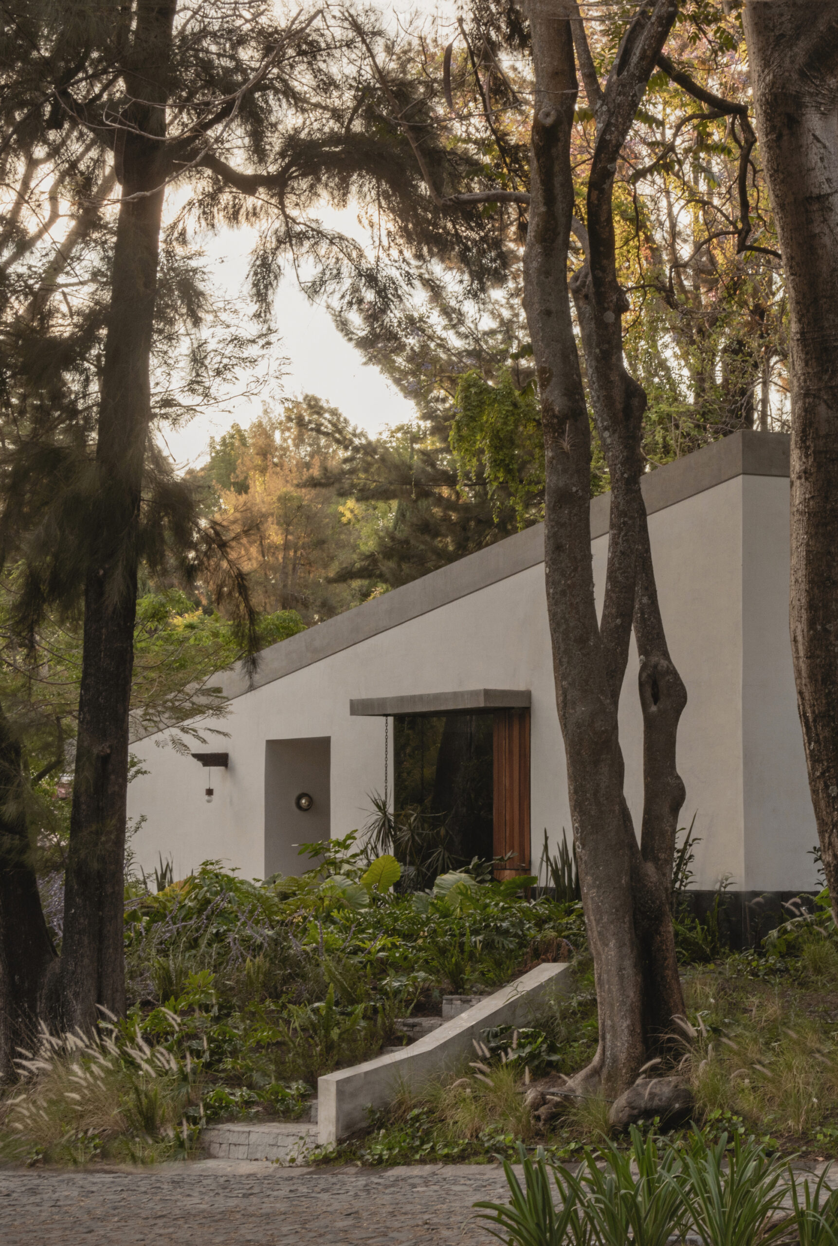 Malvas 59 Residence