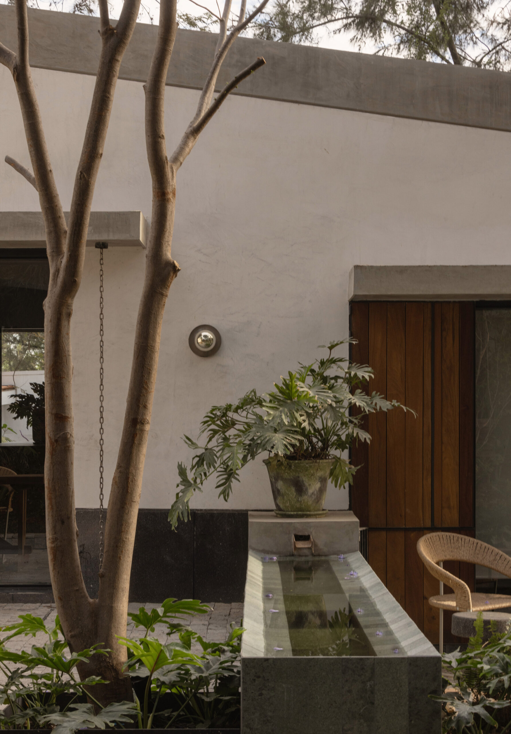 Malvas 59 Residence