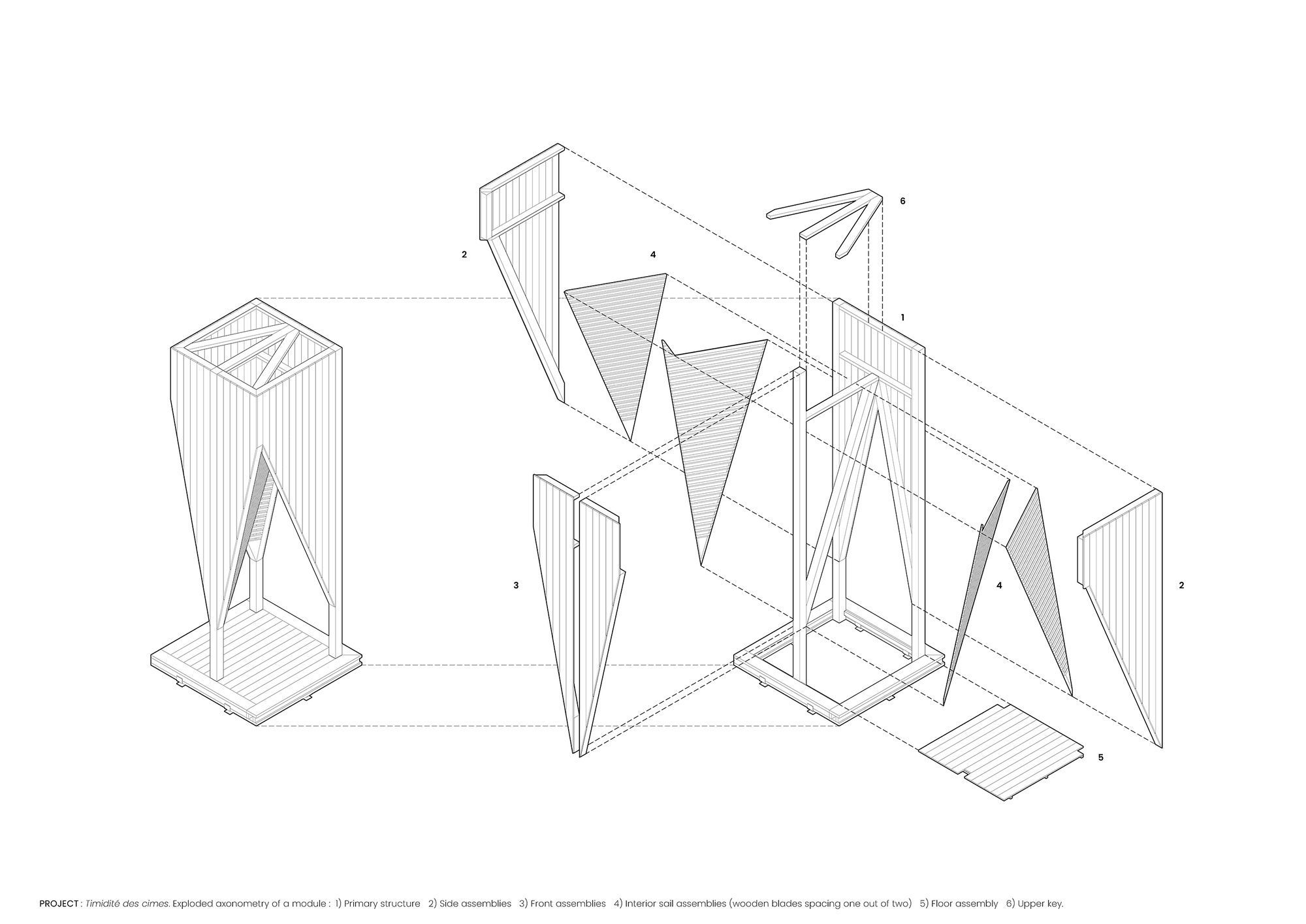 La timidité des cimes Installation