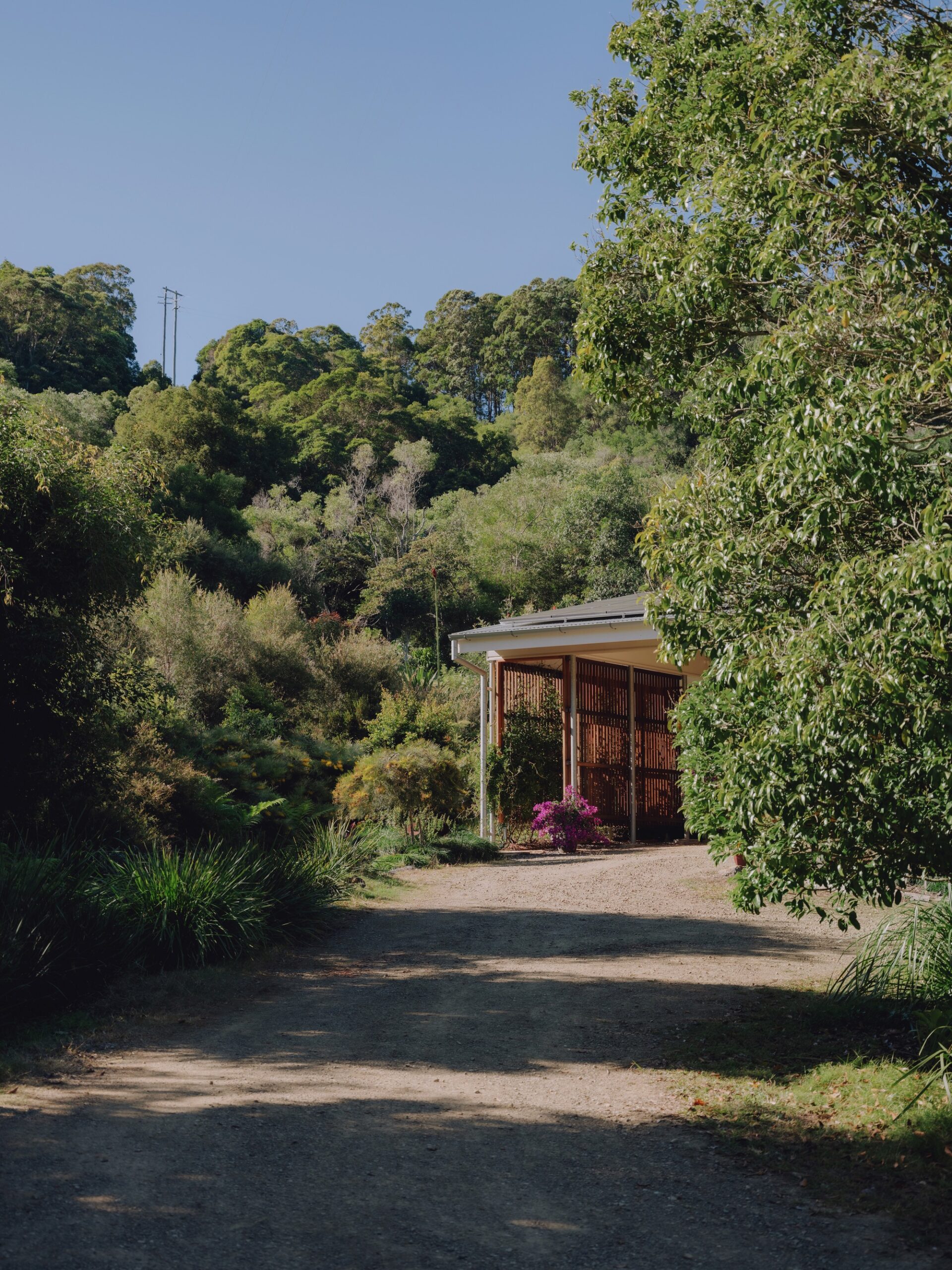 Cooroy House