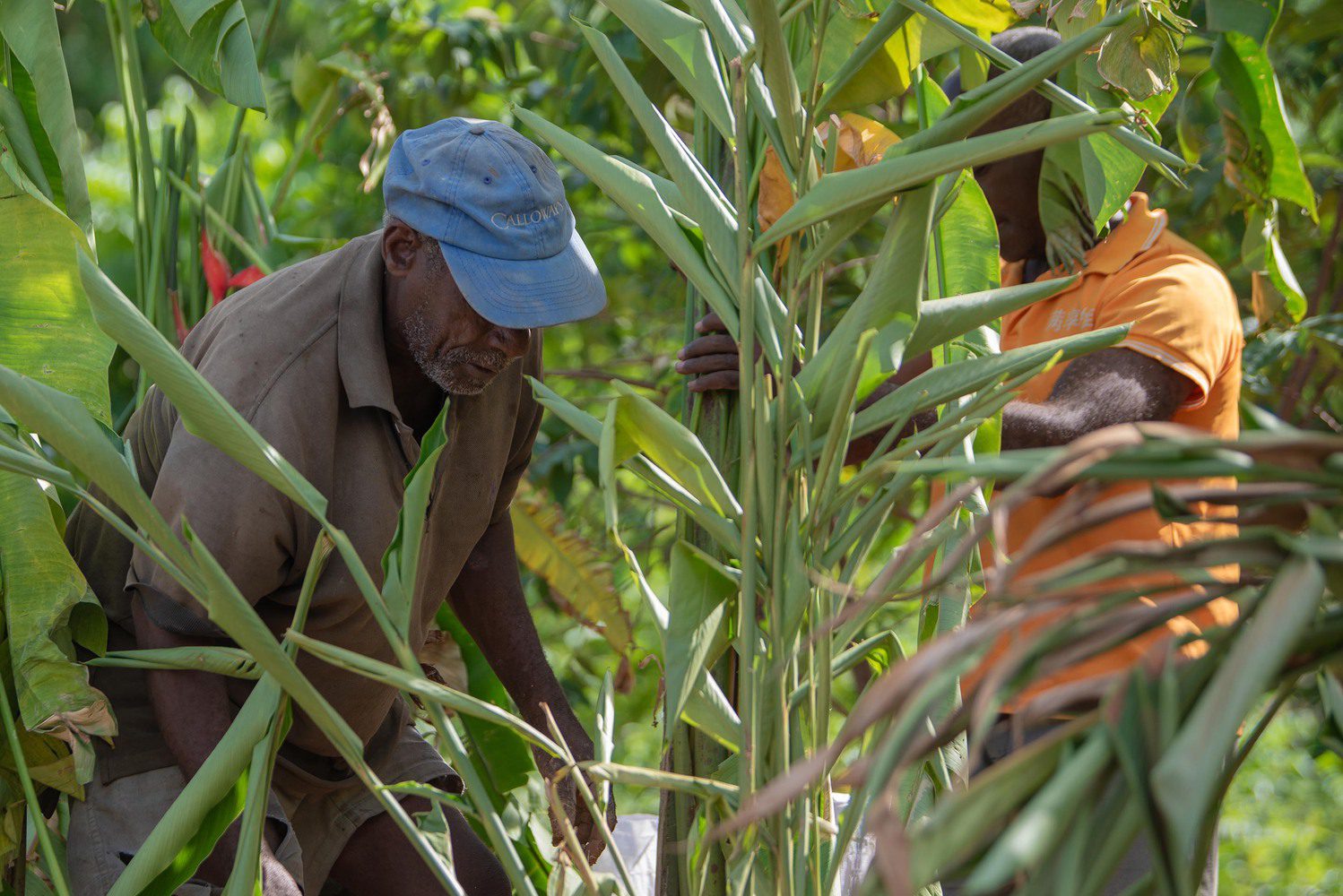 Community Center in Bercy-Cavaillon Haiti