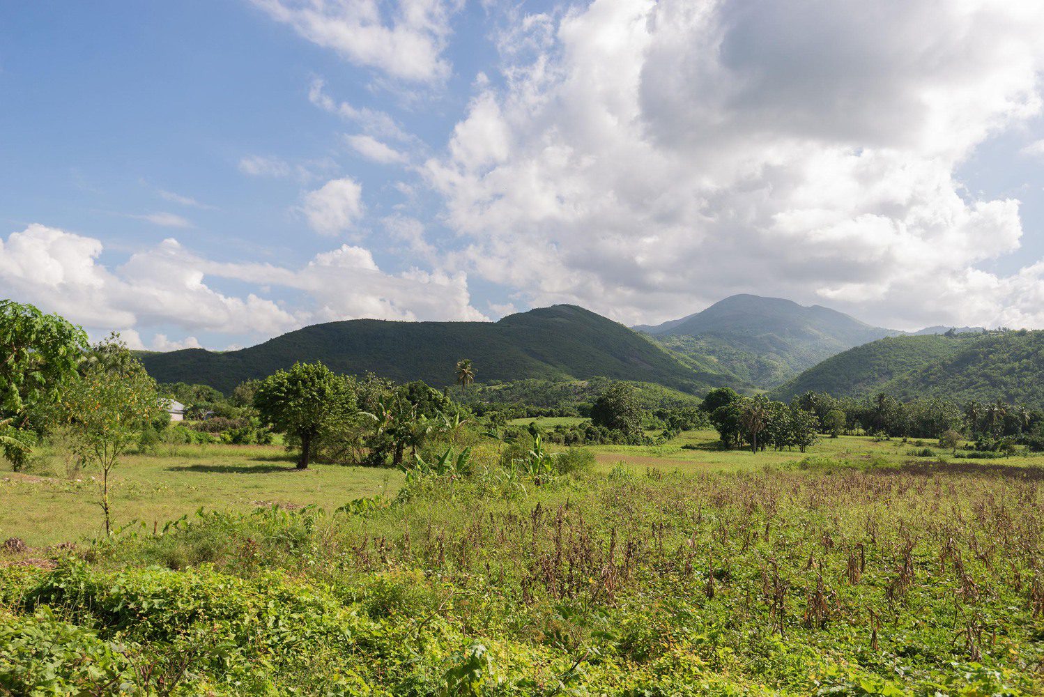 Community Center in Bercy-Cavaillon Haiti