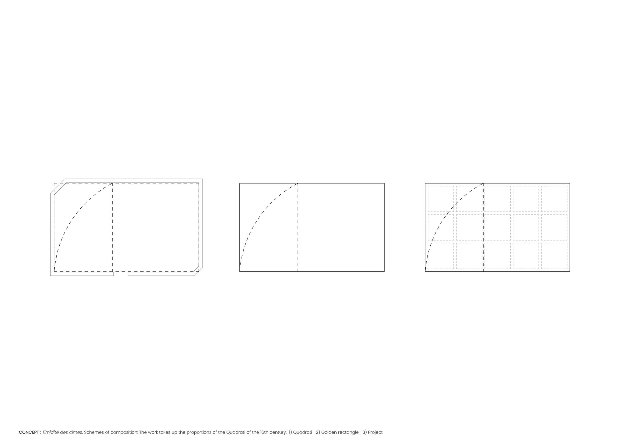 La timidité des cimes Installation