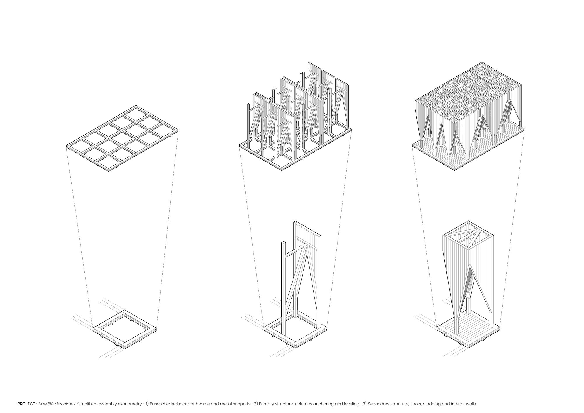 La timidité des cimes Installation
