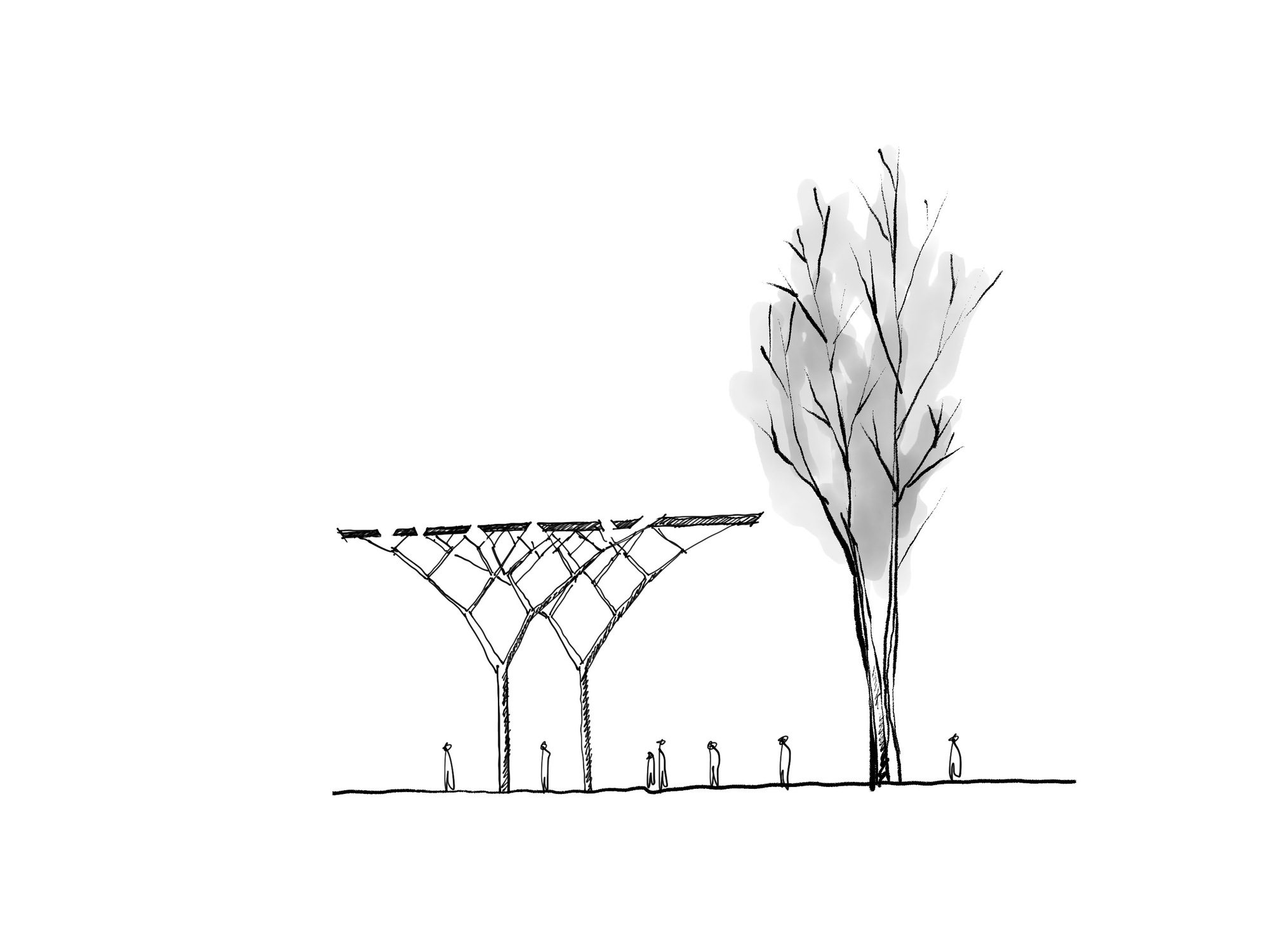 The Pavilion of Contemplation