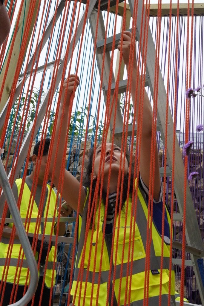 In Pride of Idleness Pavilion