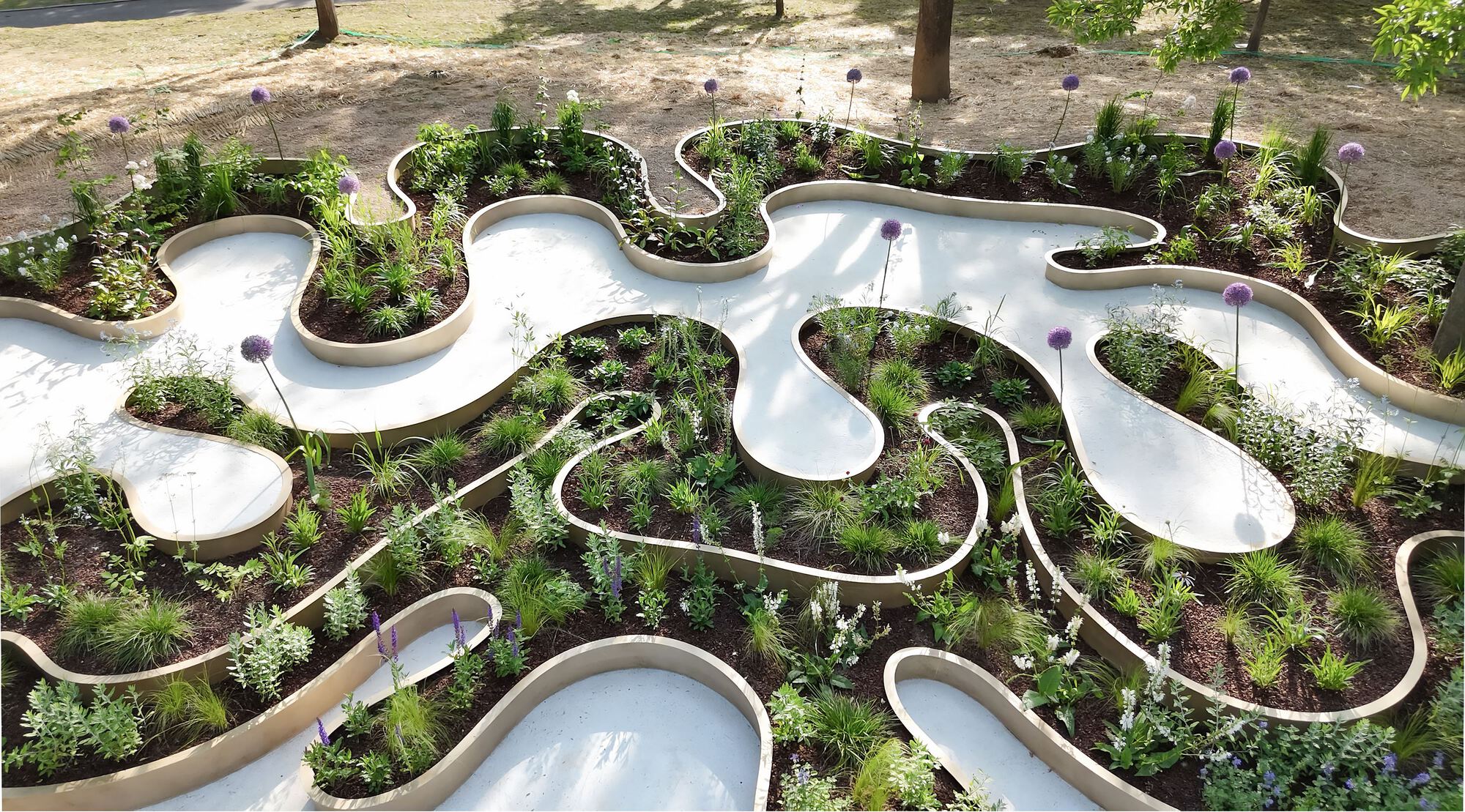 Immersive Resilience
