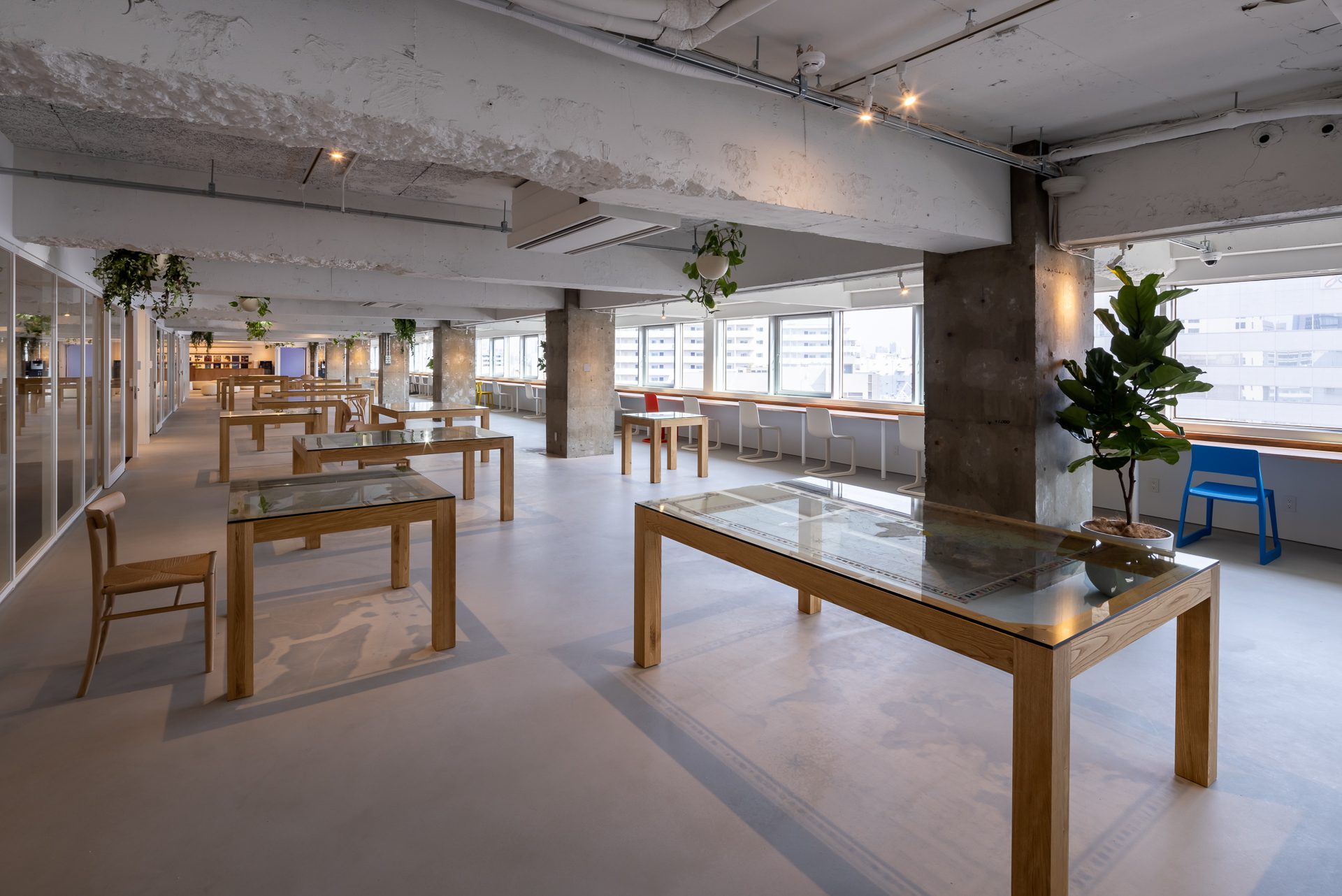 Earth Centric Design Lab