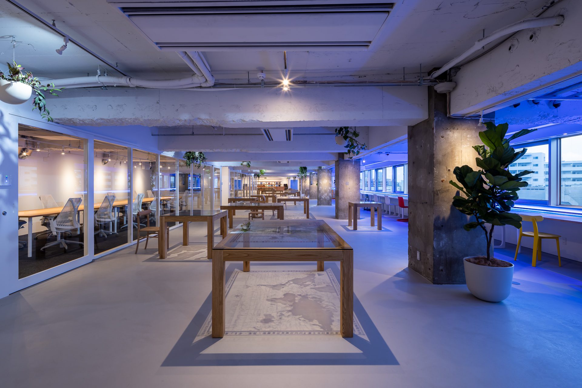 Earth Centric Design Lab