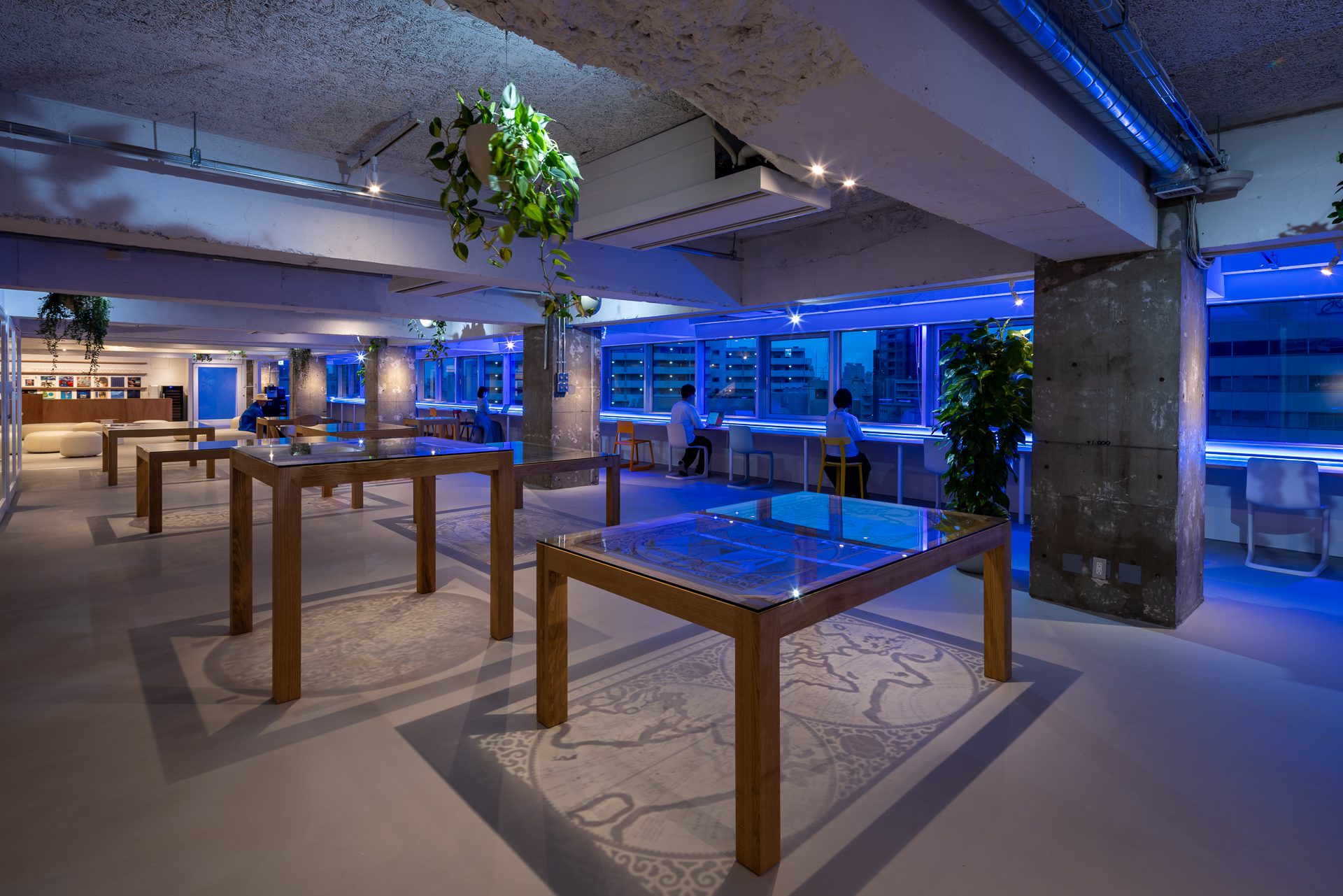 Earth Centric Design Lab