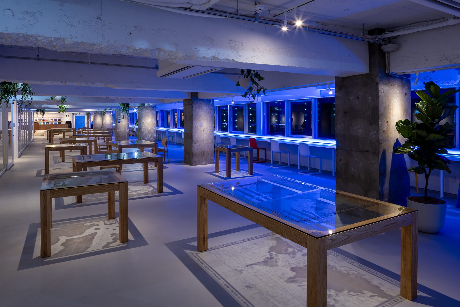 Earth Centric Design Lab