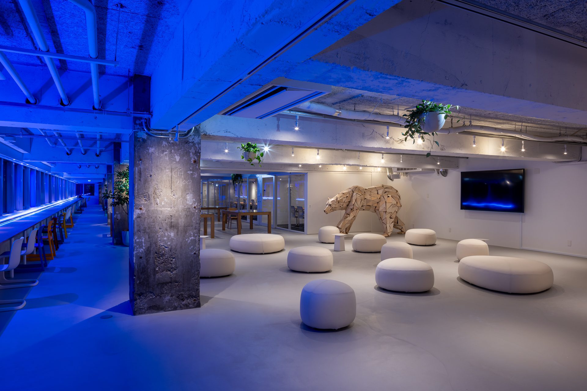 Earth Centric Design Lab