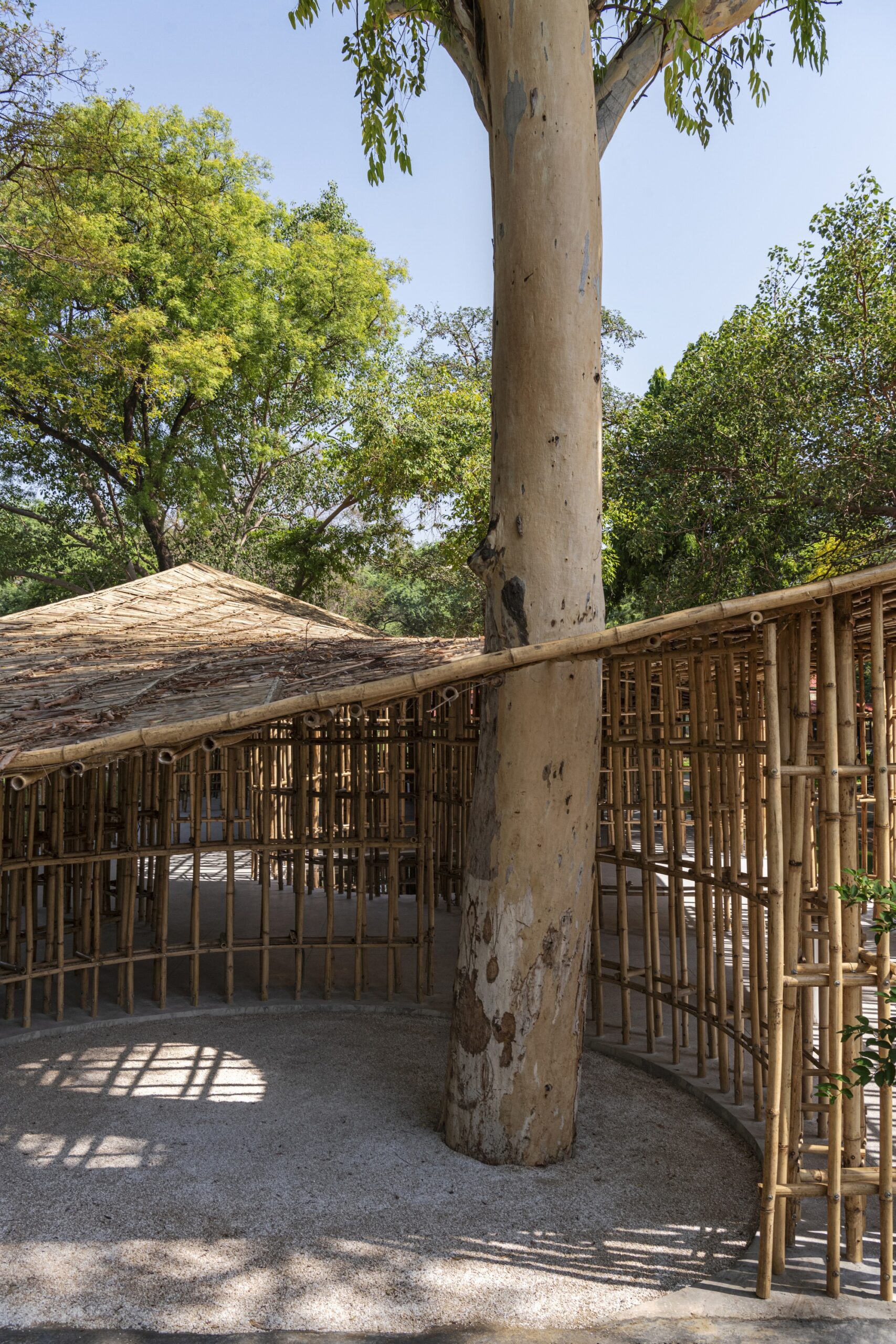 NorthEast Bamboo Pavilion