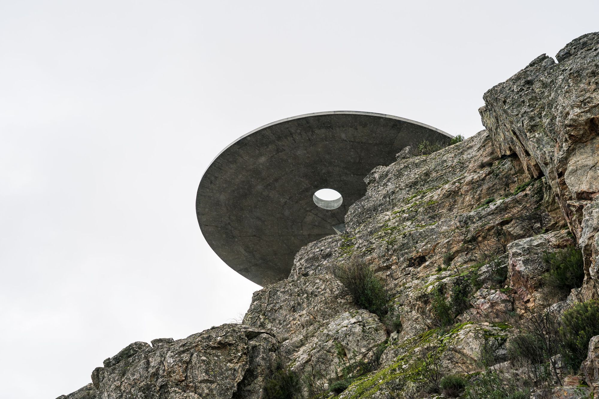 Zebro Viewpoint