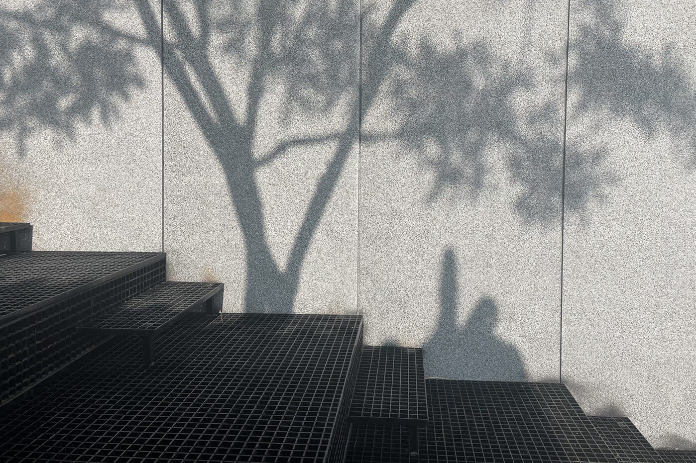 The Disappearing Garden