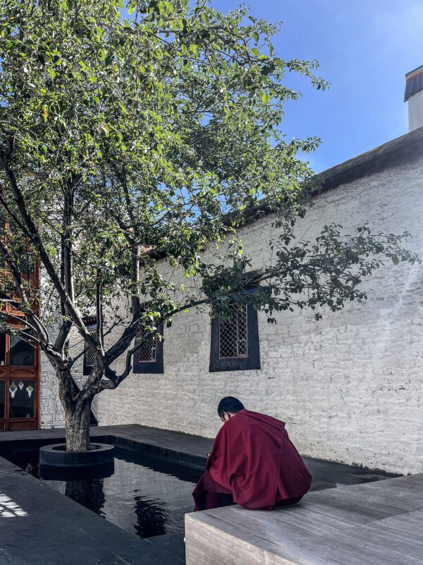 Renovation of the Jiakaxia Ancient Courtyard
