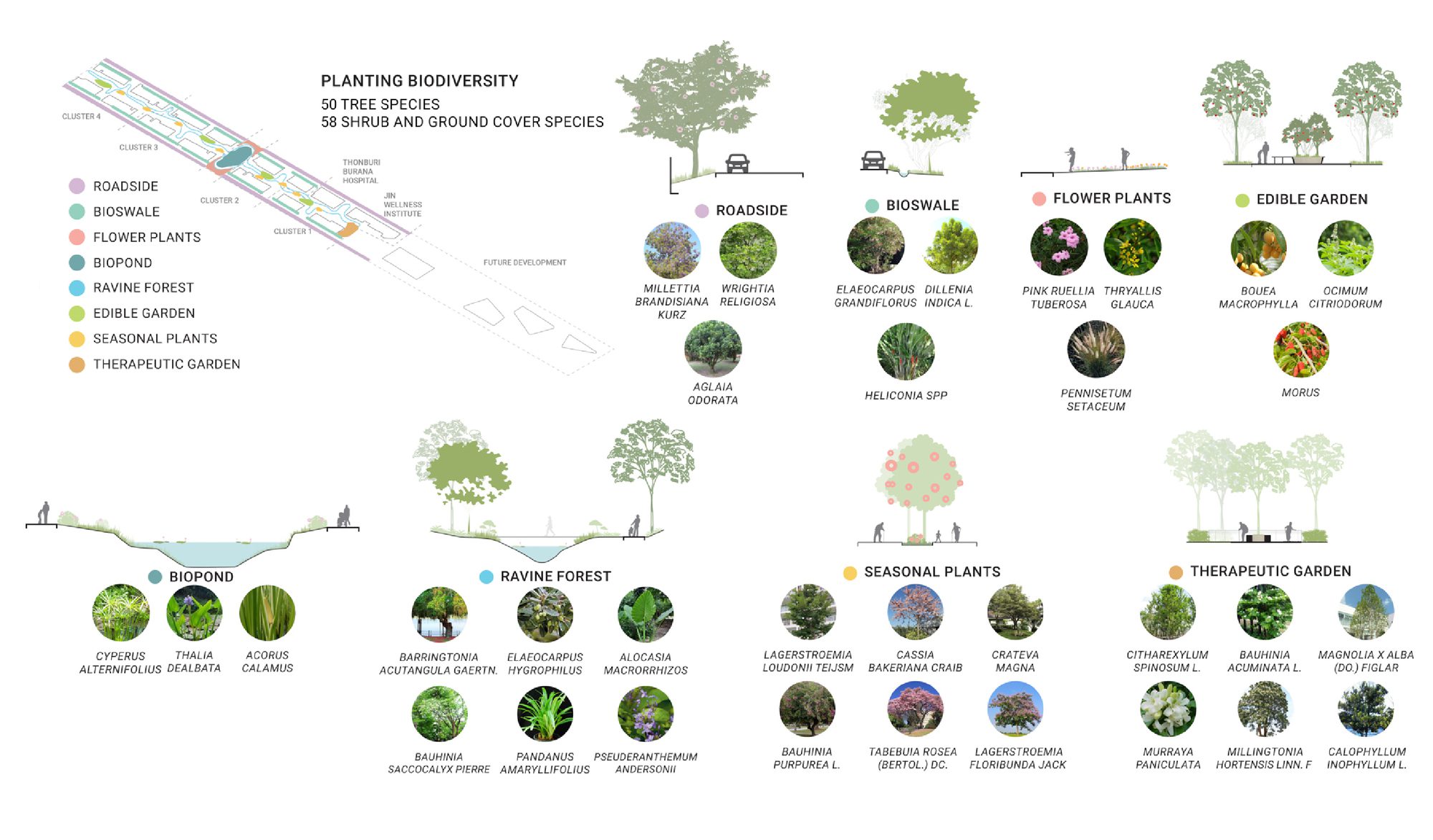 Jin Wellbeing County