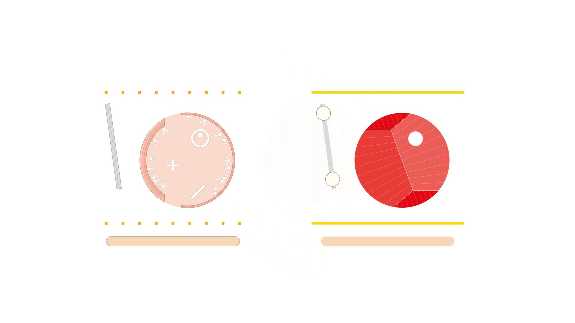 Verbena Installation