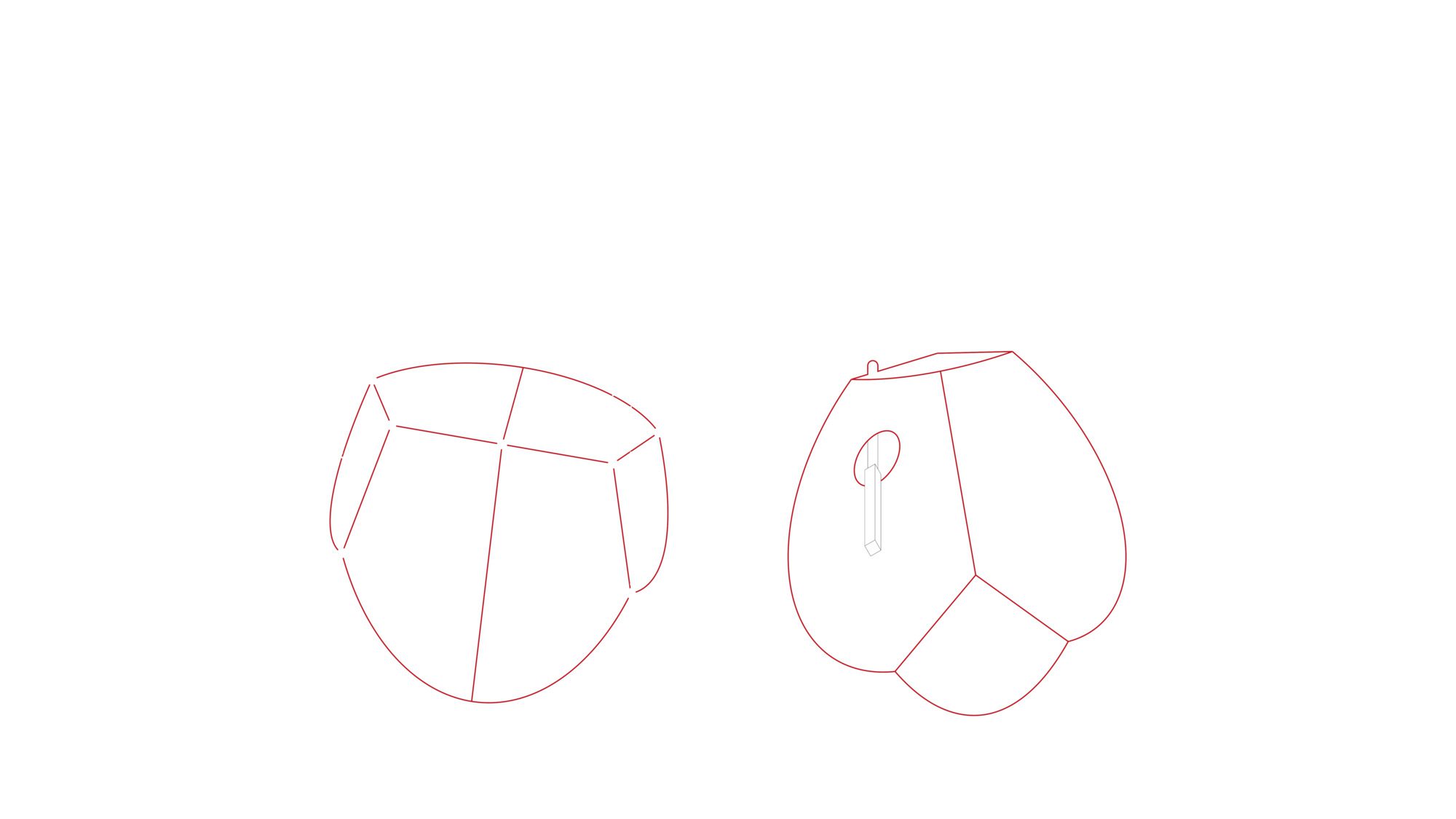 Verbena Installation