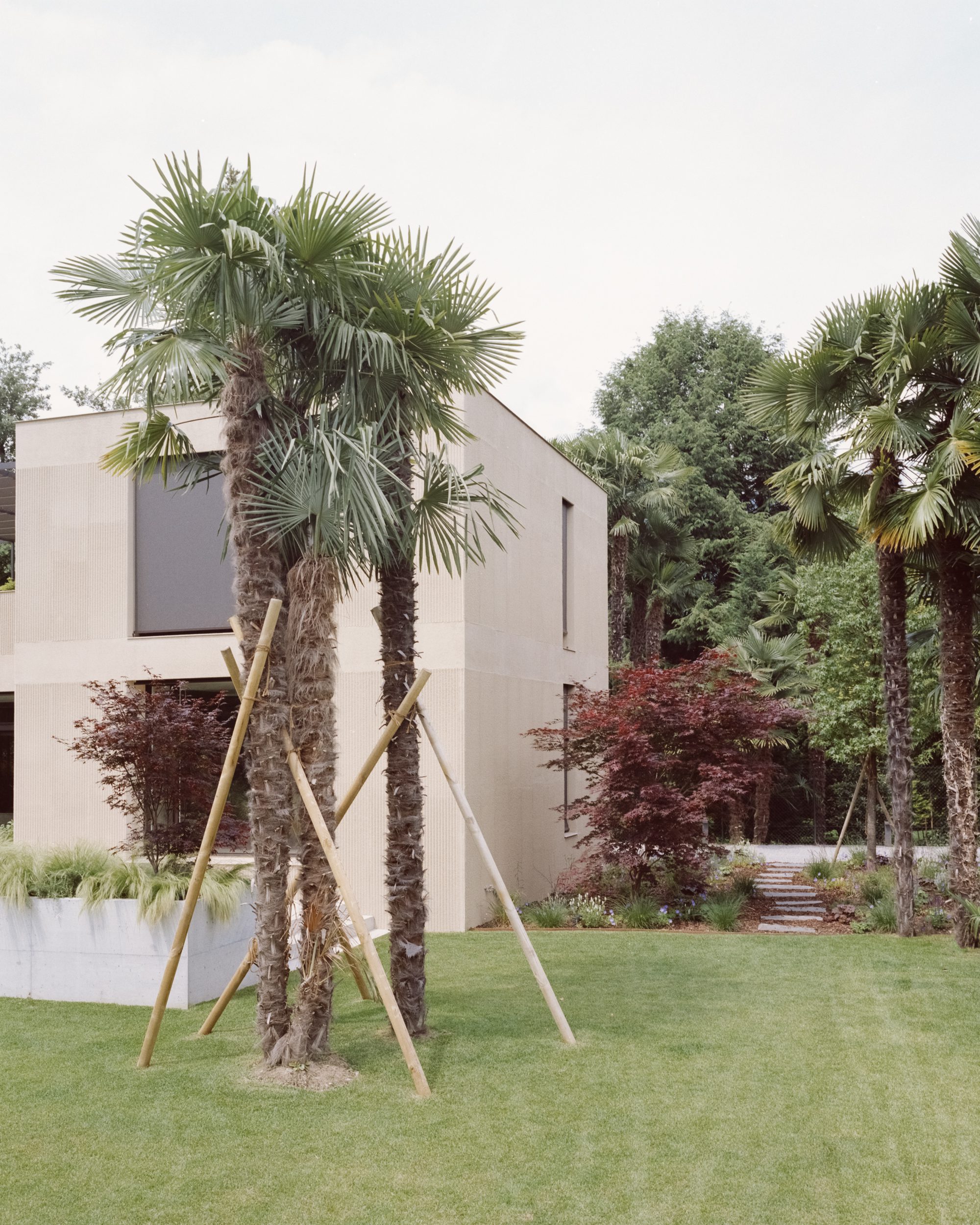 Elevation 0227