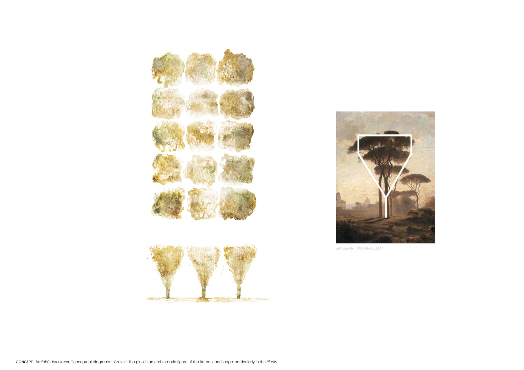 La timidité des cimes Installation