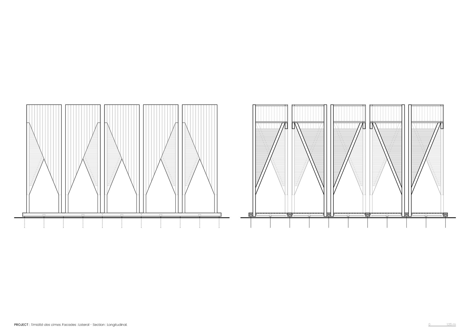 La timidité des cimes Installation