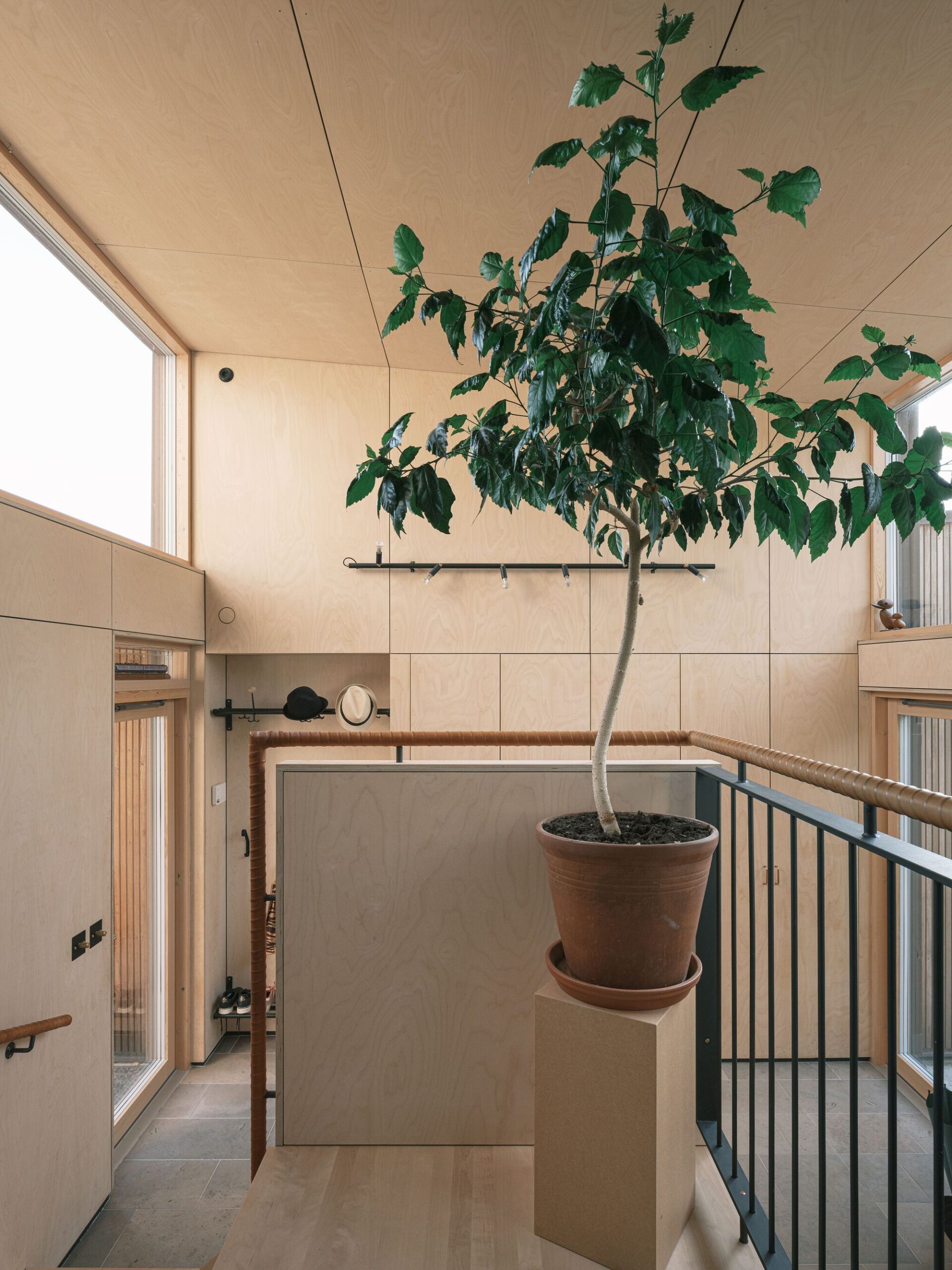 Timjan House Extension