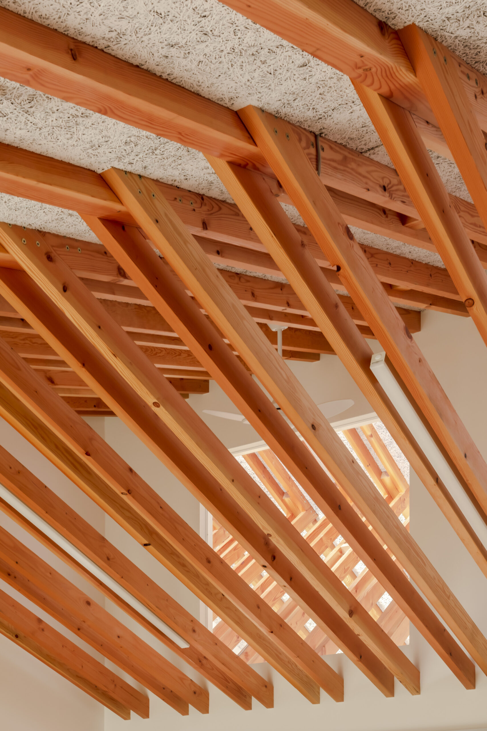 "House" for Matsuyama Tomo-no-Kai