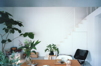 Overlap House