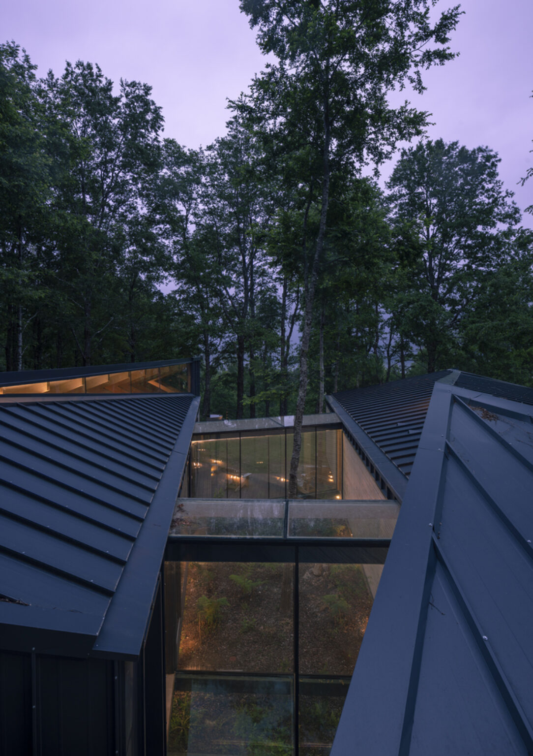 Forest House | Triangular - Arch2O.com