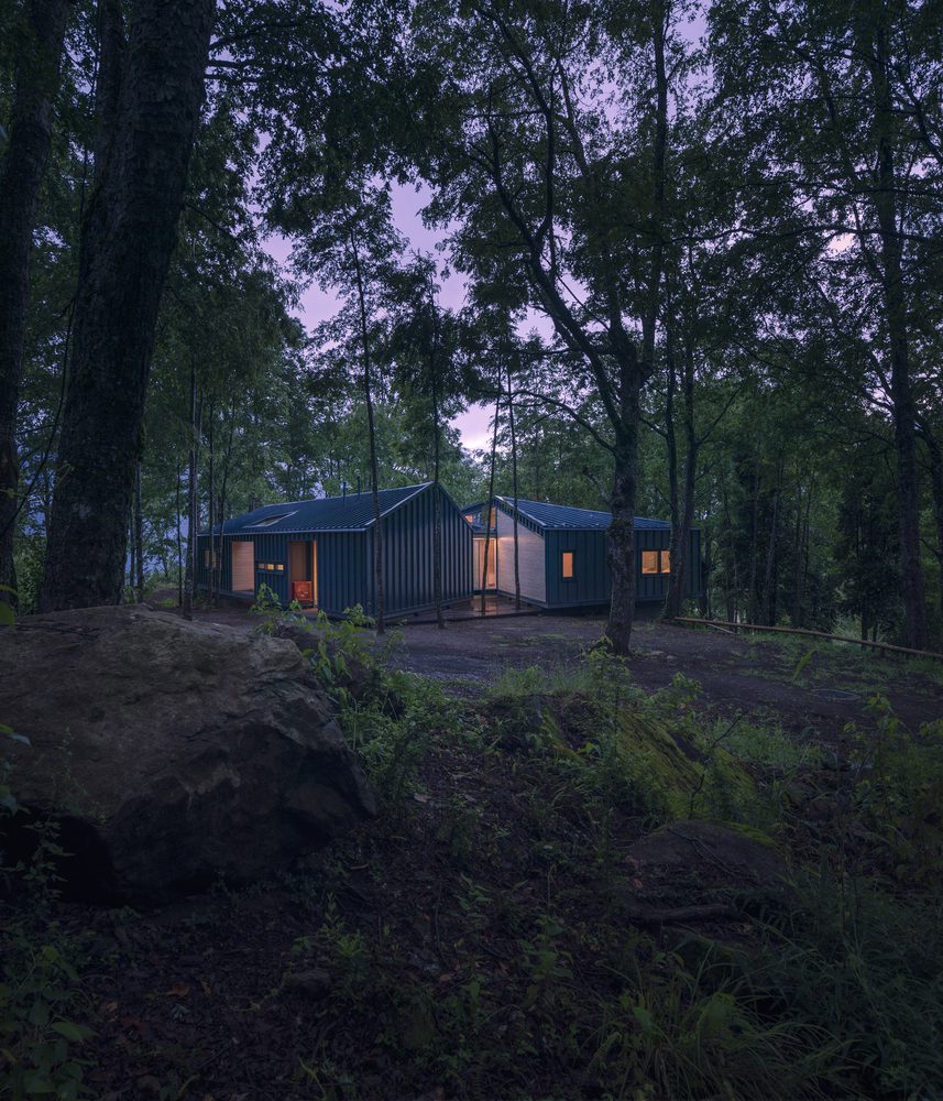 Forest House