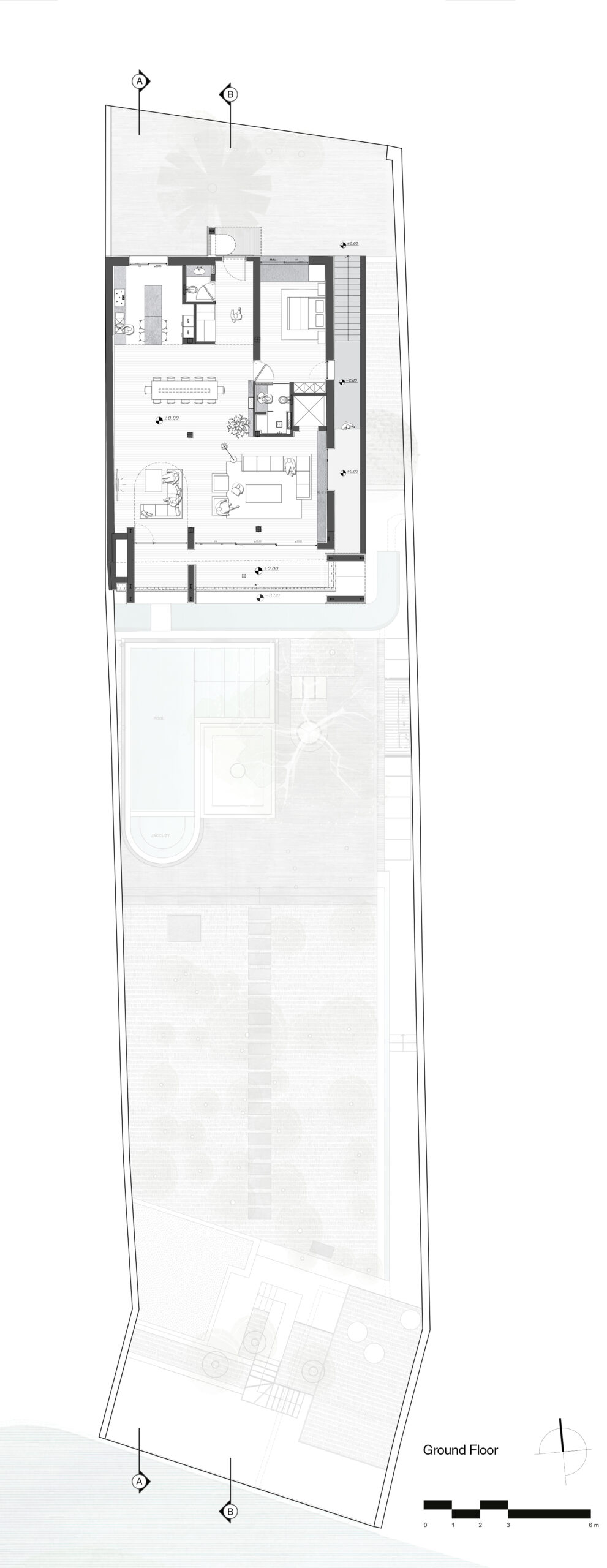 A House Looking to A Cedrus Tree