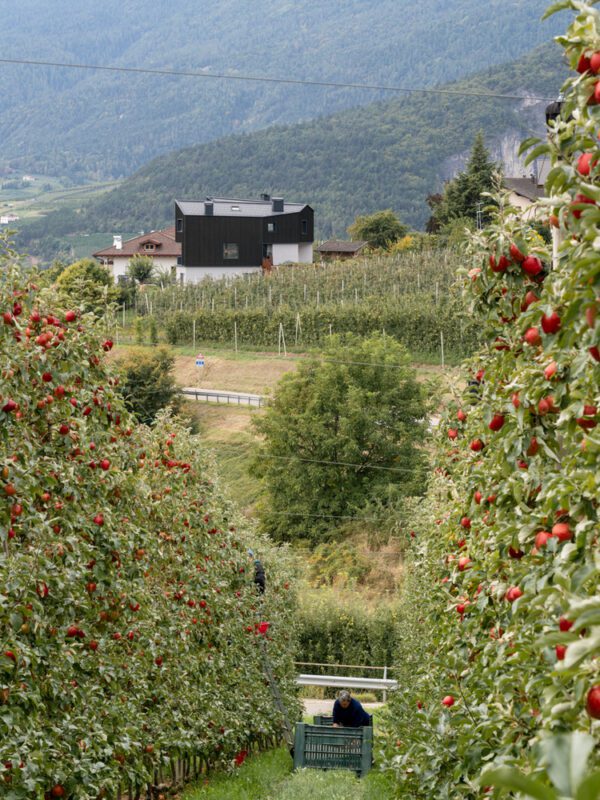 7 hometown house modusarchitects plan 1 floor 1 200 c modusarchitects 8 Hometown House